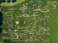 train corn maze 