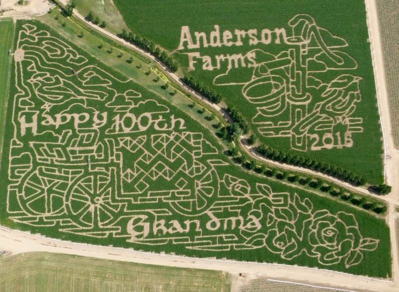 Anderson Farms Design 2016