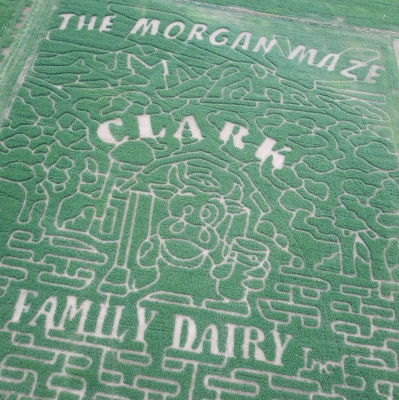 Clark Family Dairy Maze Design 2022