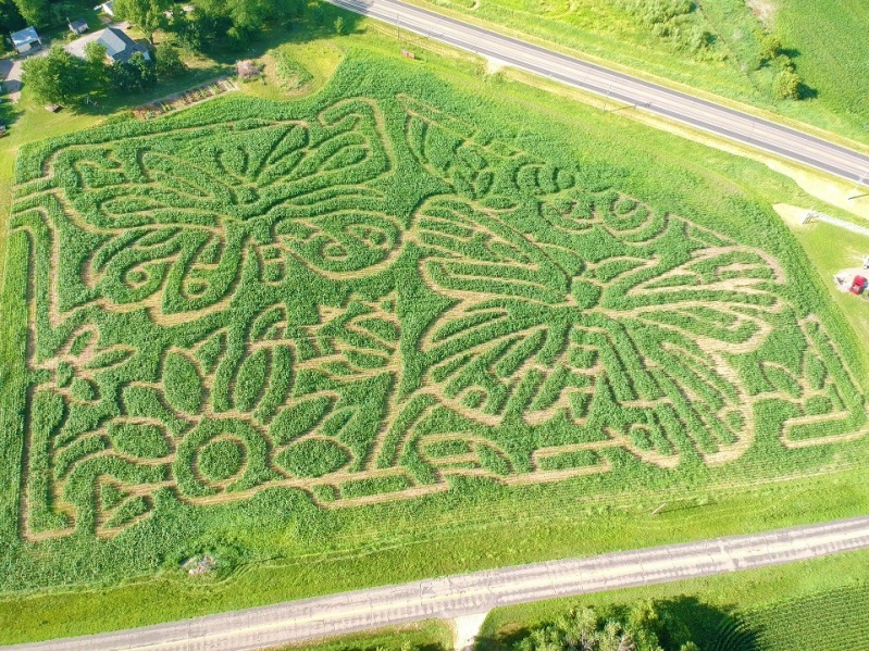 Fresh Acres Maze Design 2020