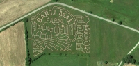 Farm Corn Maze 