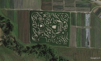 candy skull corn maze