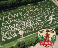 Pony Express Corn Maze