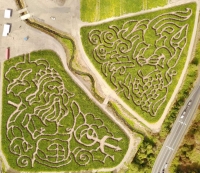 Mermaid Corn Maze