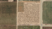 tractor corn maze