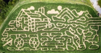 Log Cabin Corn Maze