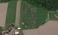 Alice in Wonderland Corn Maze