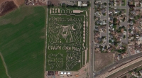 UFO Corn Maze 