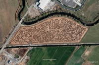 Halloween Corn Maze 