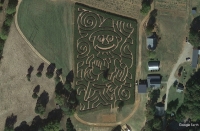 Scarecrow Corn Maze