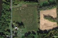 Mine Train Corn Maze