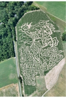 Headless Horseman Corn Maze