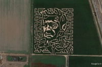 Jeremy Renner Corn Maze