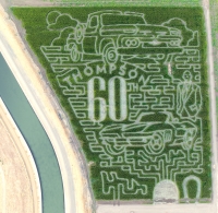 Thompson Corn Maze