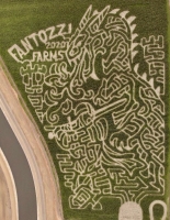 dragon slayer corn maze