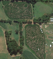 Mermaid Corn Maze