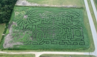 Farm Corn Maze 