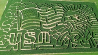 USA eagle corn maze