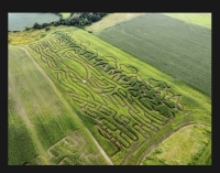 Lake Champlain Monster Corn Maze