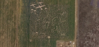 D-Day Memorial Corn Maze