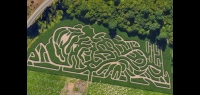 Bigfoot Corn Maze