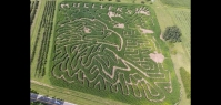 Eagle Corn Maze