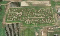 Snoopy Peanuts Corn Maze