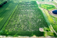 NFL Draft Corn Maze