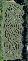 TRex Corn Maze 