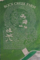 Mickey Mouse Corn Maze