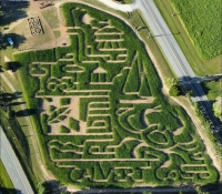 Calvert Maryland Corn Maze