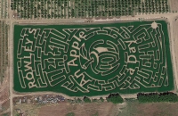 Apple Corn Maze