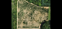 Gnome corn maze