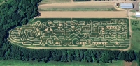 Video Game Corn Maze