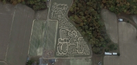 tractor corn maze