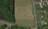 tractor corn maze