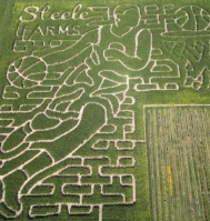 basketball corn maze