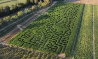 Gnome corn maze