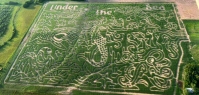 Mermaid Corn Maze