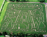 UFO Corn Maze 