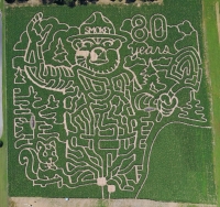 Smoky Bear Corn maze 