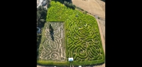 Scarecrow Corn Maze