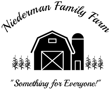 MazePlay - Niederman Family Farm